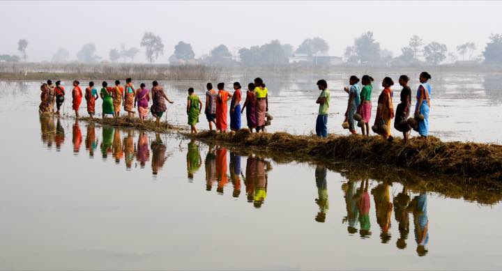 Colour and reflections at the water’s edge