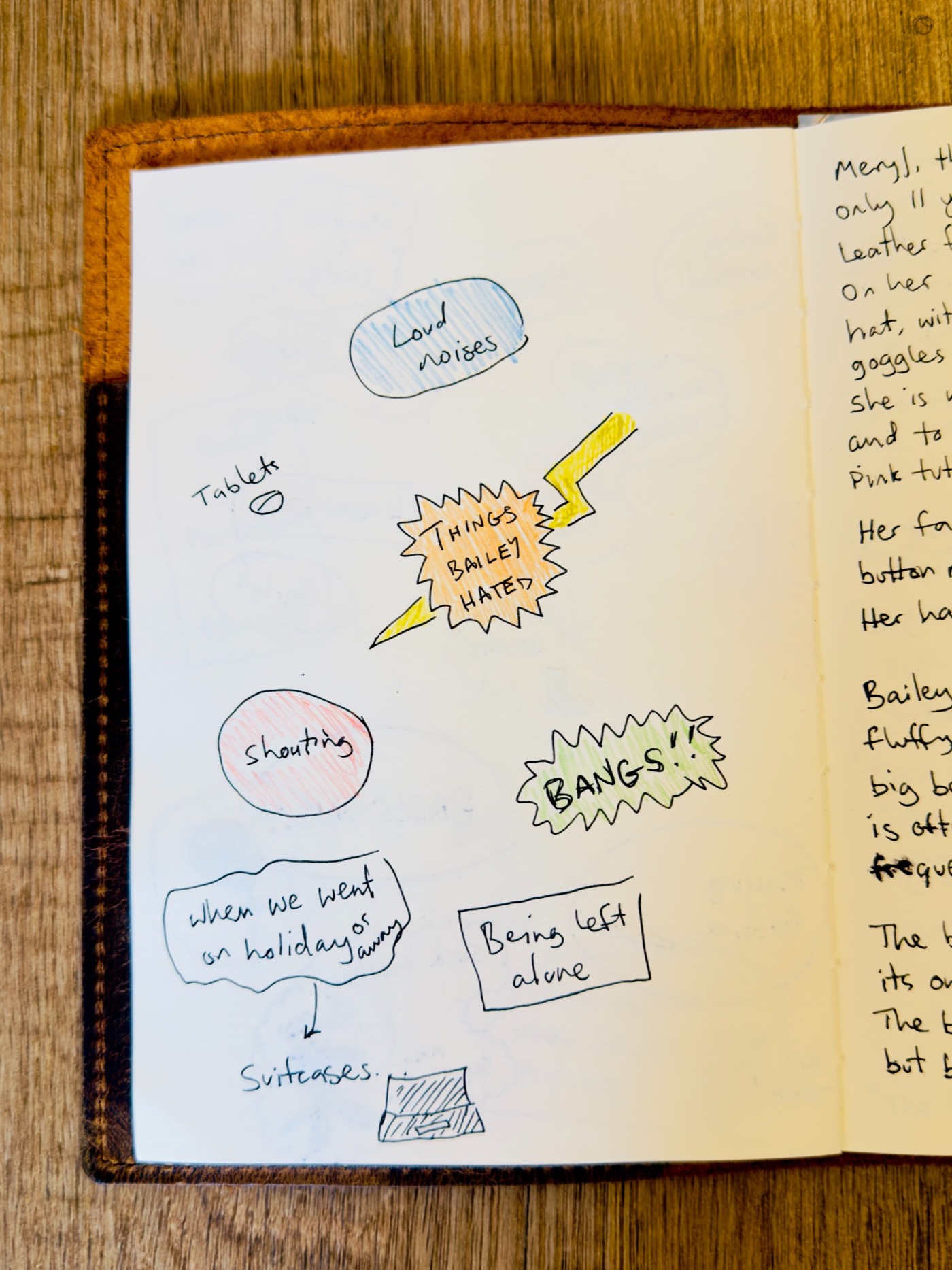 Notebook page titled Things Bailey Hated, with handwritten notes about loud noises, tablets, shouting, bangs, being left alone, and suitcases when we went away.